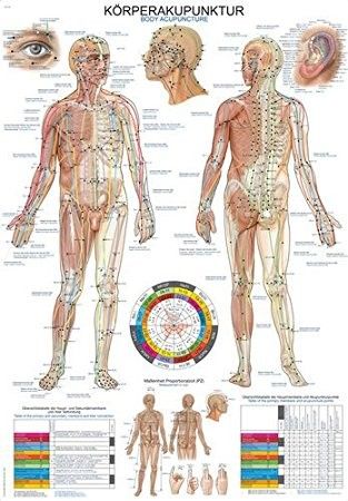 Plakat "akupunktura telesa" 70x100cm