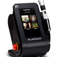 P4 summus laser veterina fizian 3