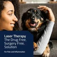 Topline chiropractic summus laser treatment minjpeg